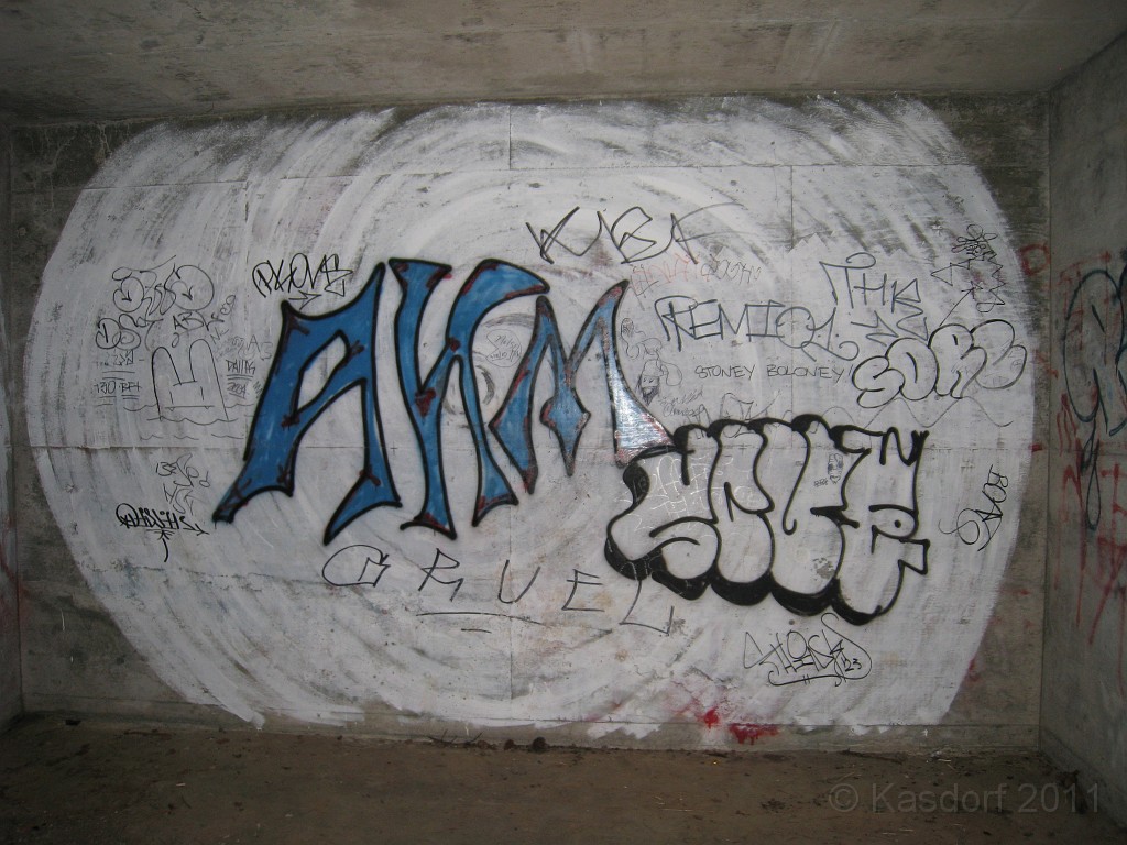 2011 Bay 2 Breakers Friday 0620.JPG - I was able to participate in the 100th annual running of the Bay to Breakers 12K race in San Francisco California. A weekend for sightseeing and racing.